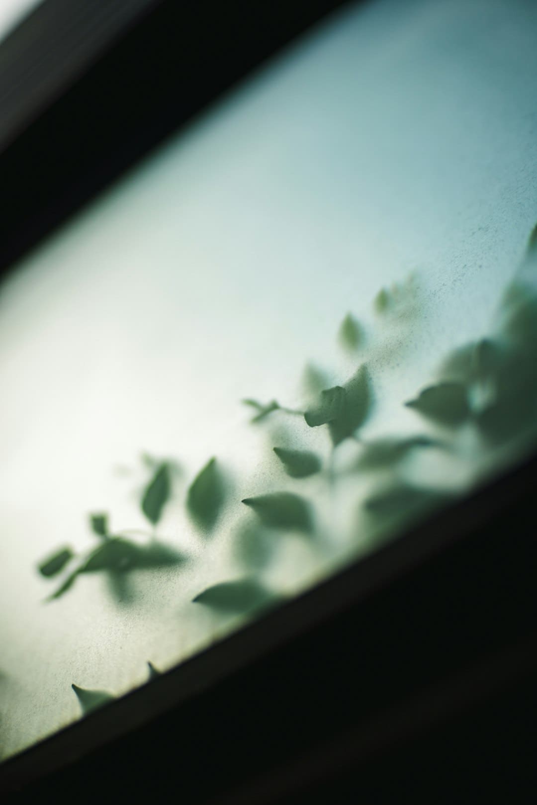 告五人重返《我想要占有你》创造创意起源地 一连热唱21首歌再占有歌迷手机记忆体